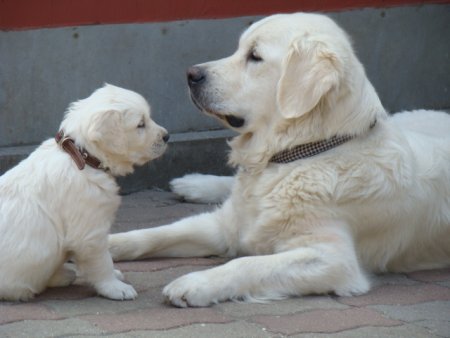 Dsc05407.jpg (25312 Byte)