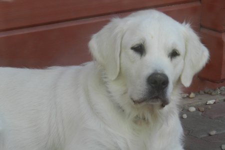 Dscn0225.jpg (16310 Byte)