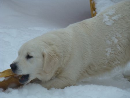 Dsc00152.jpg (18340 Byte)