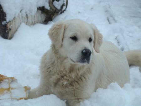 Dsc00158.jpg (21250 Byte)