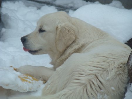 Dsc00165.jpg (21868 Byte)