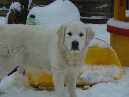 Dsc00174.jpg (21802 Byte)