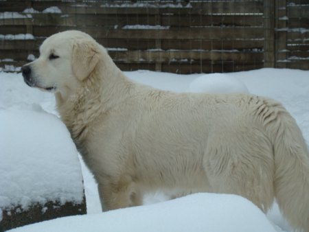 Dsc00178.jpg (24261 Byte)