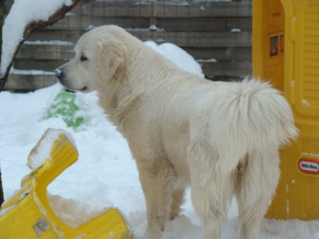 Dsc00204.jpg (25113 Byte)