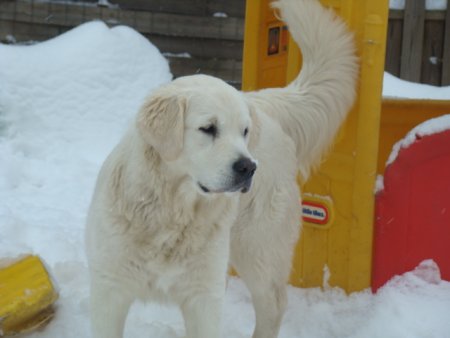 Dsc00205.jpg (21109 Byte)