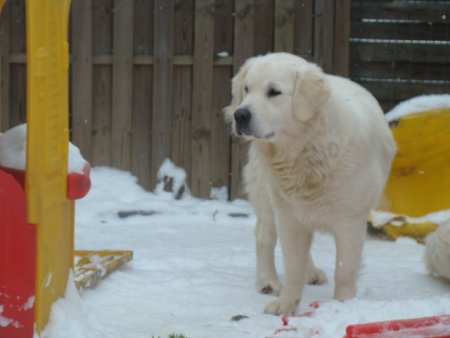 Dsc00268.jpg (22854 Byte)