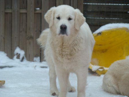 Dsc00269.jpg (22214 Byte)