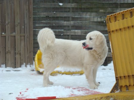 Dsc00279.jpg (29335 Byte)