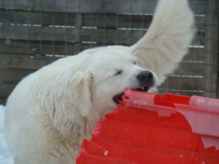 Dsc00296.jpg (23064 Byte)