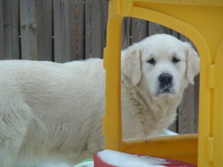 Dsc00318.jpg (22008 Byte)