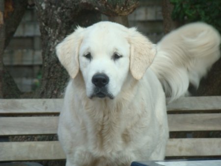 Dsc08849.jpg (23761 Byte)