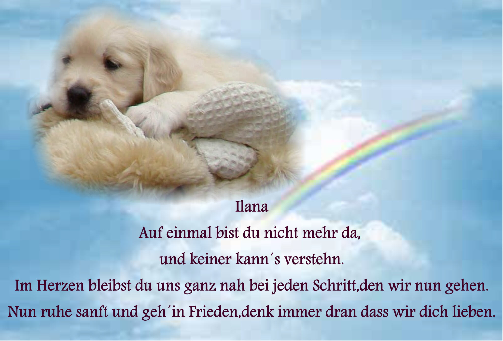 rainbow.jpg (263655 Byte)