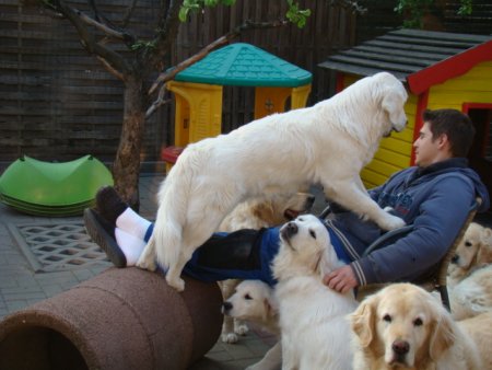 Dsc01825.jpg (33064 Byte)