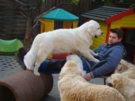 Dsc01826.jpg (33418 Byte)