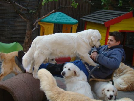 Dsc01827.jpg (31944 Byte)