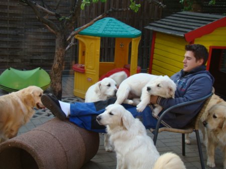 Dsc01829.jpg (33551 Byte)