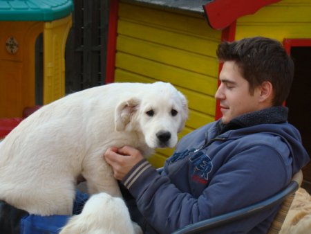 Dsc01830.jpg (27828 Byte)