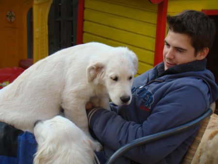 Dsc01831.jpg (27019 Byte)