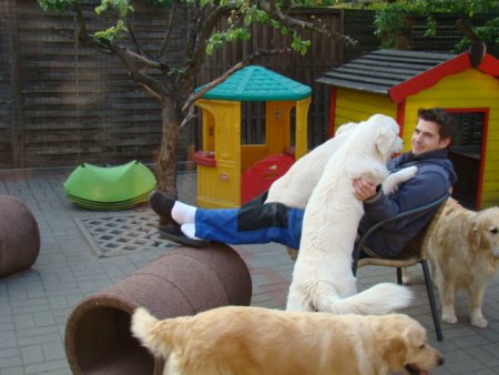 Dsc01834.jpg (34676 Byte)