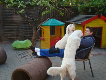 Dsc01835.jpg (34578 Byte)