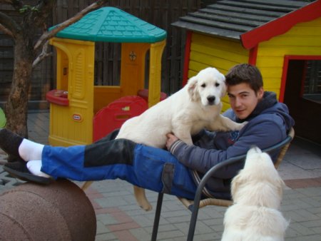 Dsc01836.jpg (32158 Byte)