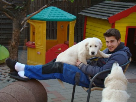 Dsc01837.jpg (32927 Byte)