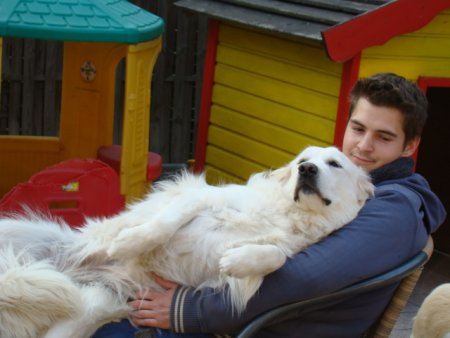 Dsc01843.jpg (28003 Byte)