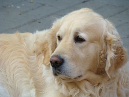 Dsc01845.jpg (23638 Byte)