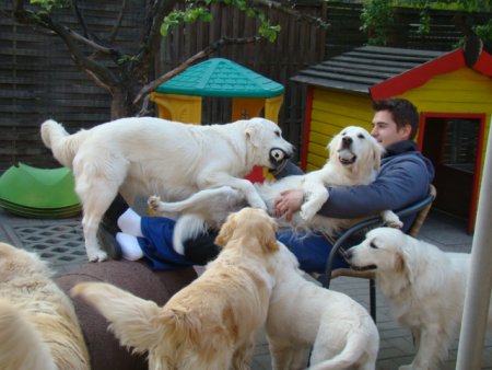 Dsc01856.jpg (35213 Byte)