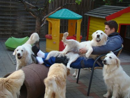 Dsc01858.jpg (34550 Byte)