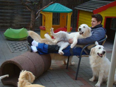 Dsc01859.jpg (32948 Byte)