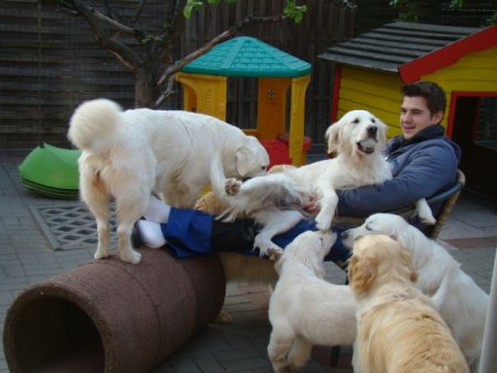 Dsc01860.jpg (31621 Byte)