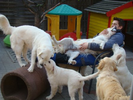 Dsc01861.jpg (33087 Byte)