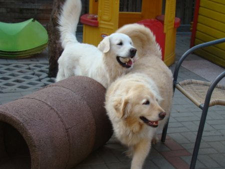 Dsc01864.jpg (29508 Byte)