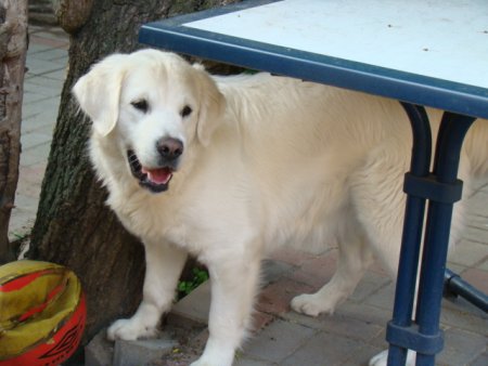 Dsc01872.jpg (30030 Byte)