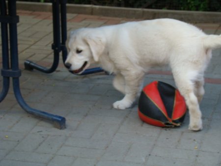 Dsc01874.jpg (22297 Byte)