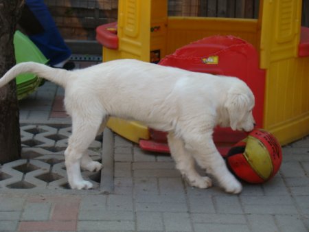 Dsc01876.jpg (25404 Byte)