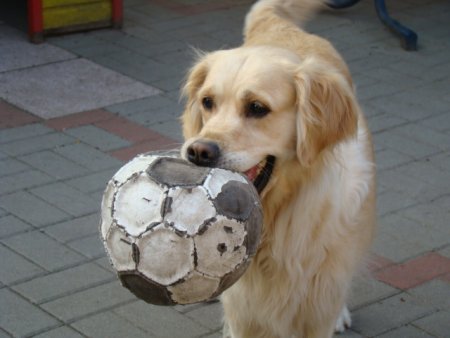 Dsc01879.jpg (25610 Byte)