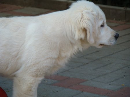 Dsc01882.jpg (19923 Byte)