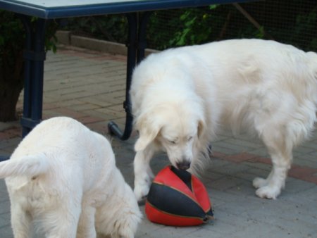 Dsc01883.jpg (24872 Byte)