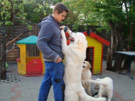 Dsc01885.jpg (40750 Byte)