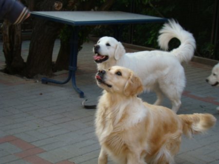 Dsc01889.jpg (24087 Byte)