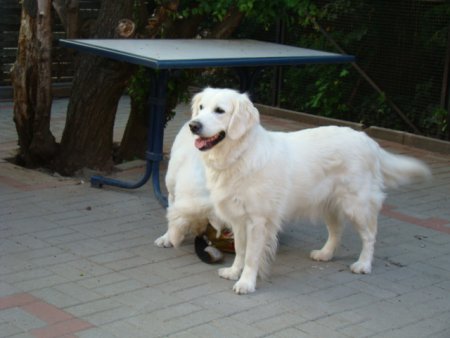 Dsc01891.jpg (26389 Byte)