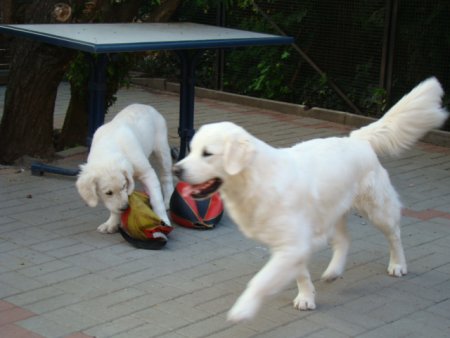 Dsc01893.jpg (26618 Byte)