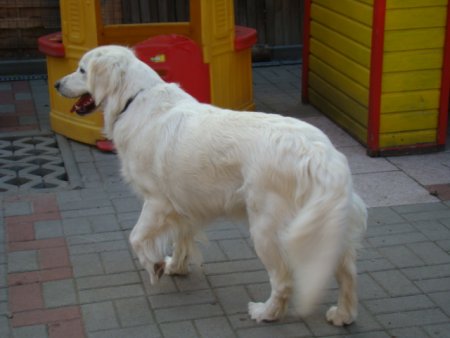 Dsc01894.jpg (24537 Byte)