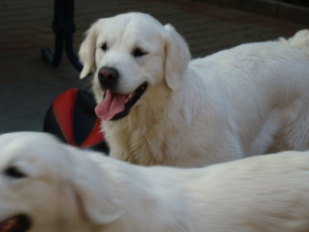 Dsc01898.jpg (18738 Byte)