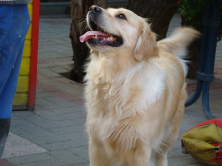 Dsc01900.jpg (25795 Byte)