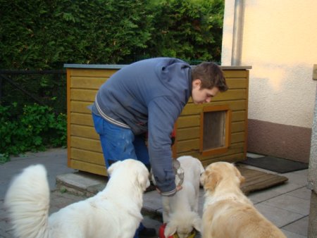 Dsc01902.jpg (32999 Byte)