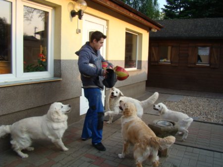 Dsc01903.jpg (33622 Byte)