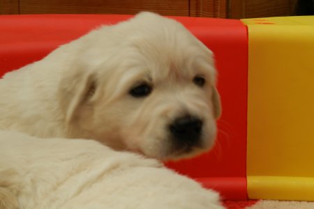 Dscn0382.jpg (16148 Byte)